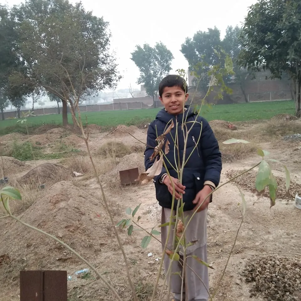 Green Seekers Activity